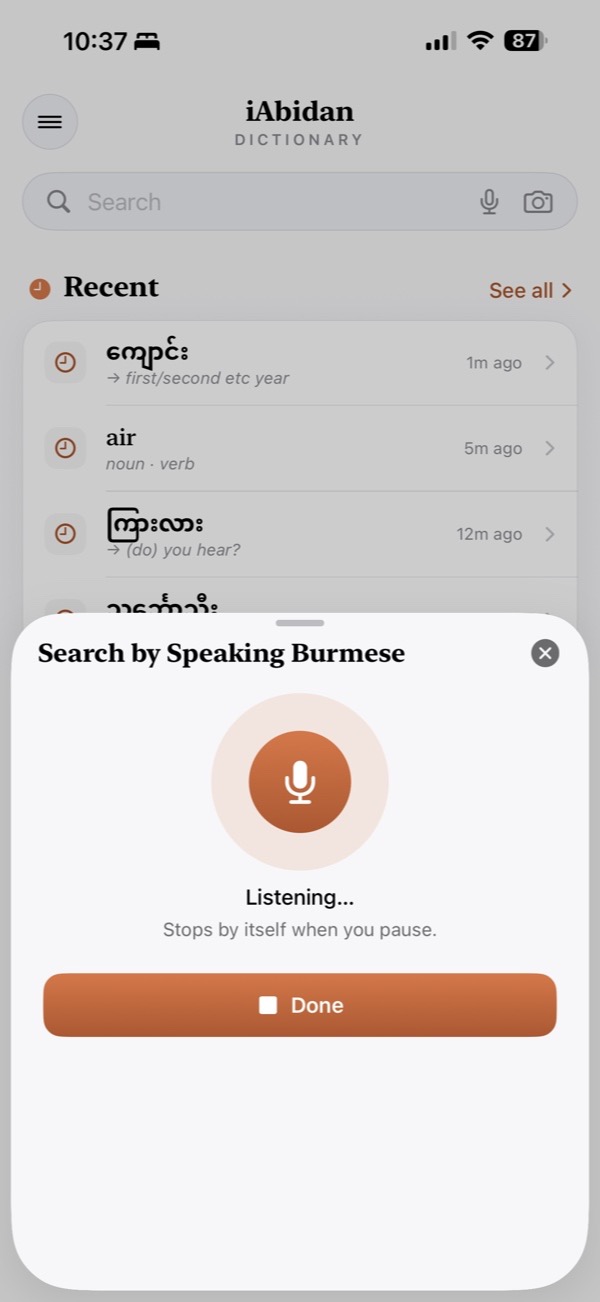 Search by speaking Burmese